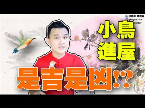 家中 飛 來 鳥|【鳥來家裡】「家中突然來了一隻鳥，你知道它帶來了。